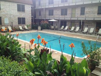 Sparkling swimming pool